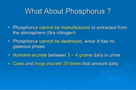 a-green-and-sustainable-solution-to-global-phosphorus-depletion-by-don-mavinic-6-728